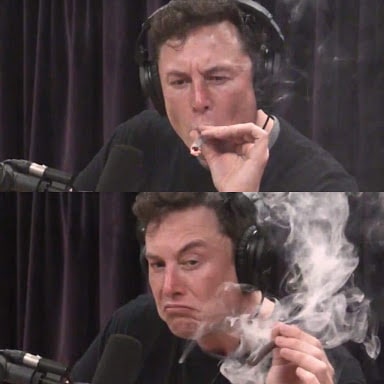Elon Musk Smoking weed meme template
