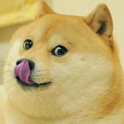 Licking Doge meme template