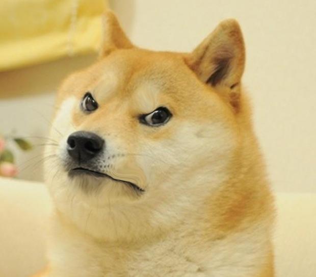 Mad angry doge meme template