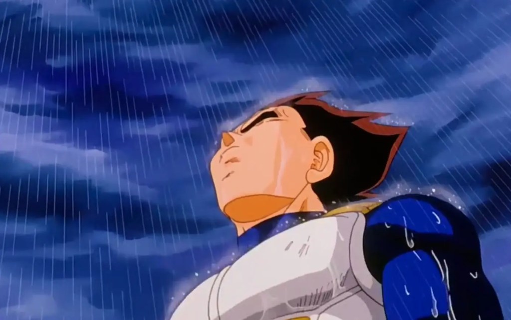 Vegeta in the rain 